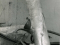 DNG-262